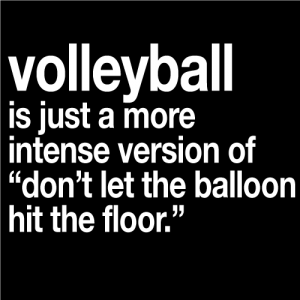 For the newbie who not understand how volleyball goes~~~
